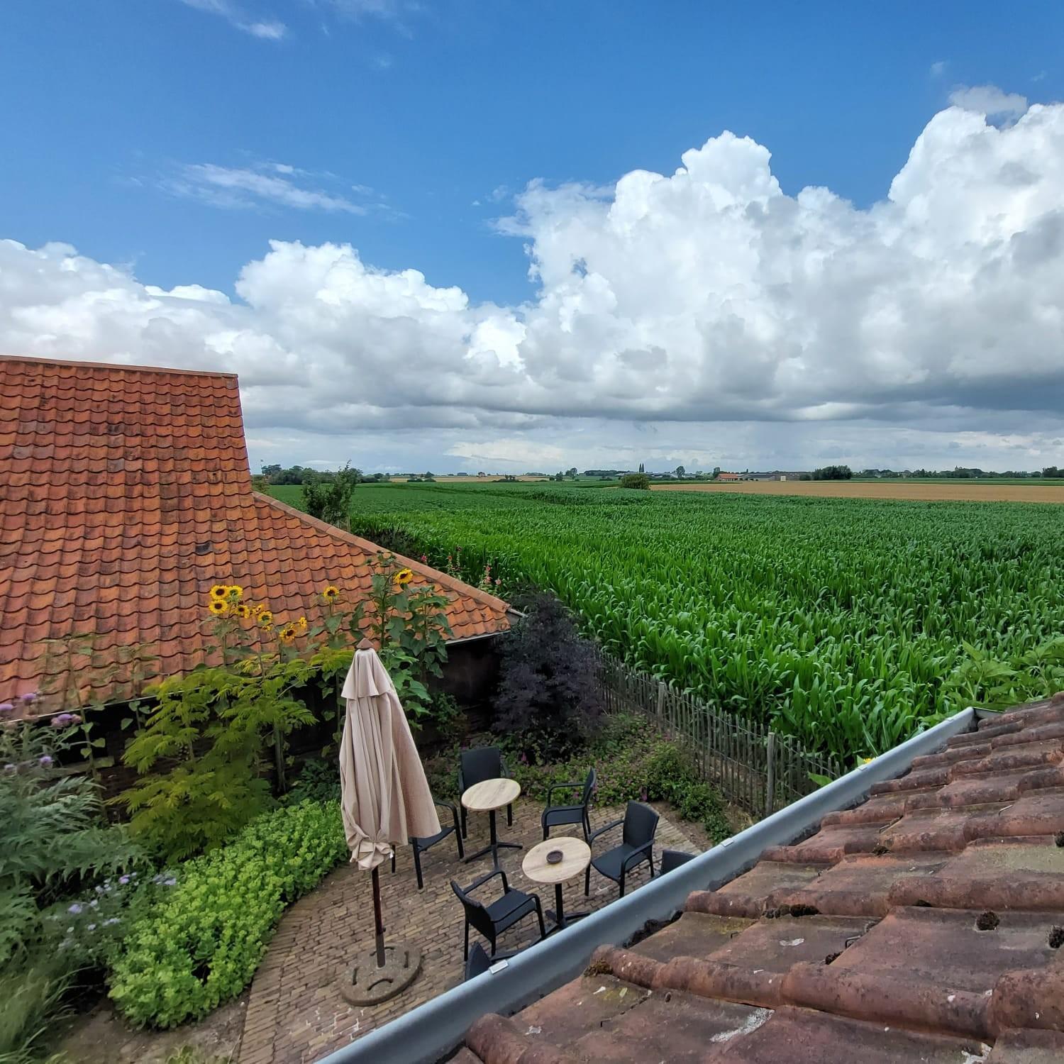 B&B Stefans Pottery Poperinge Exterior photo