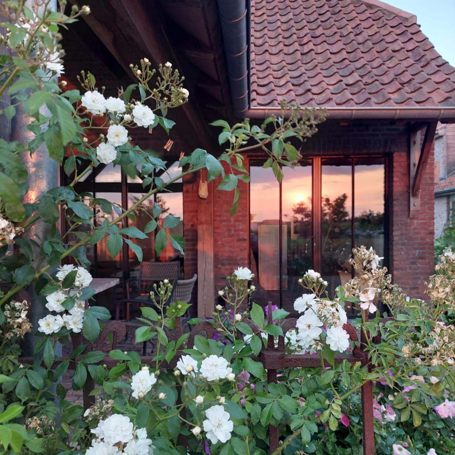 B&B Stefans Pottery Poperinge Exterior photo