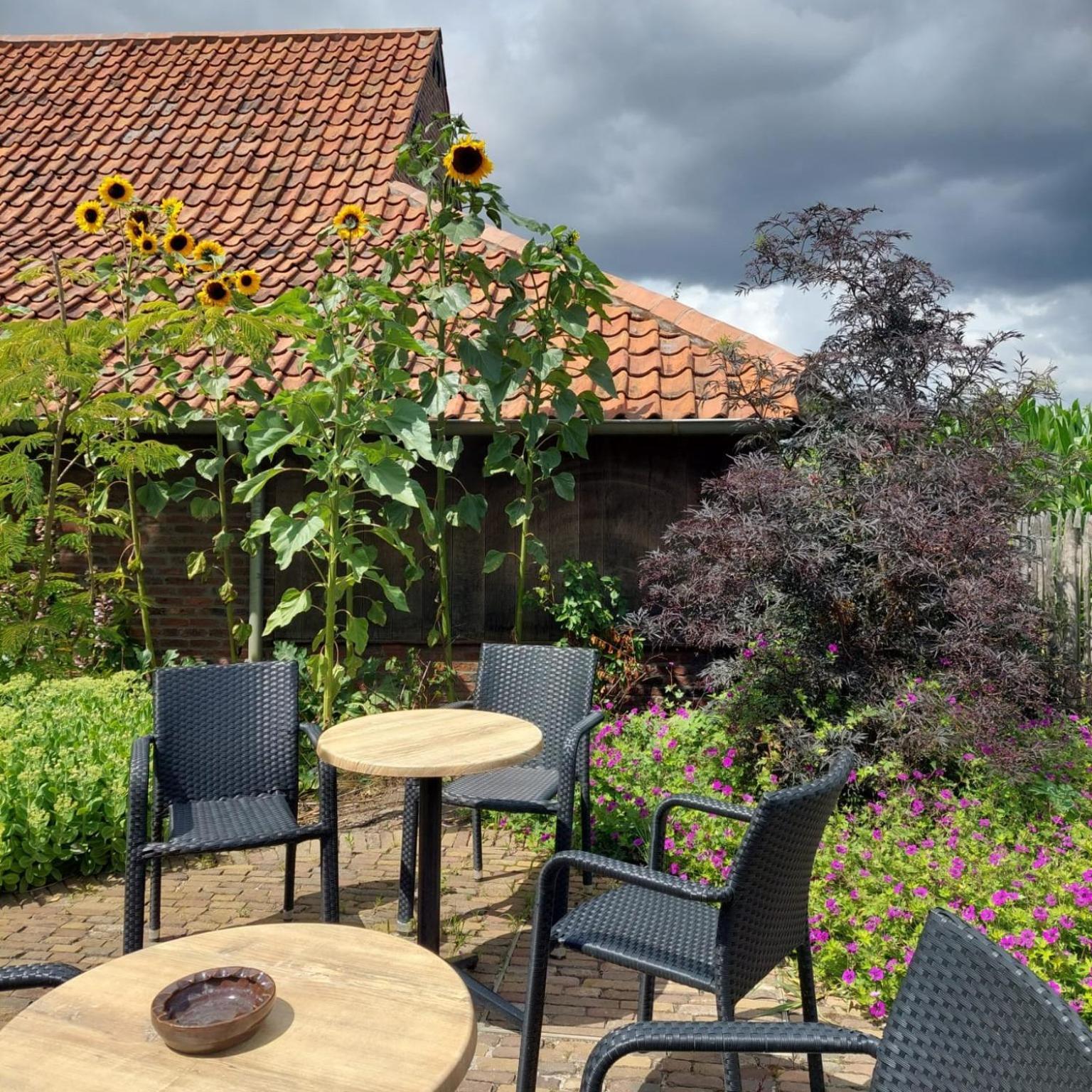 B&B Stefans Pottery Poperinge Exterior photo